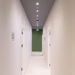 Mega 旅馆